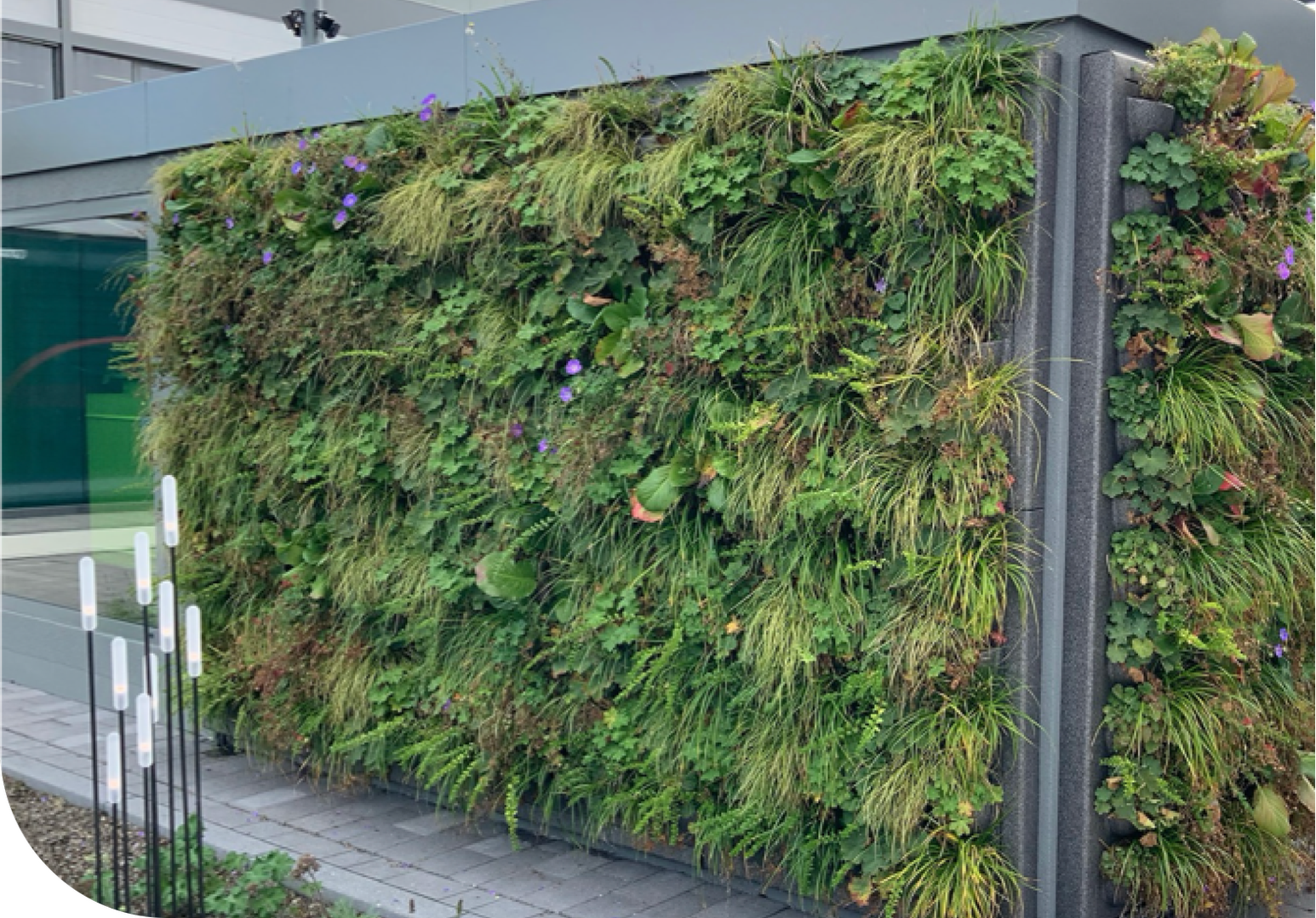 Groene gevel met planten